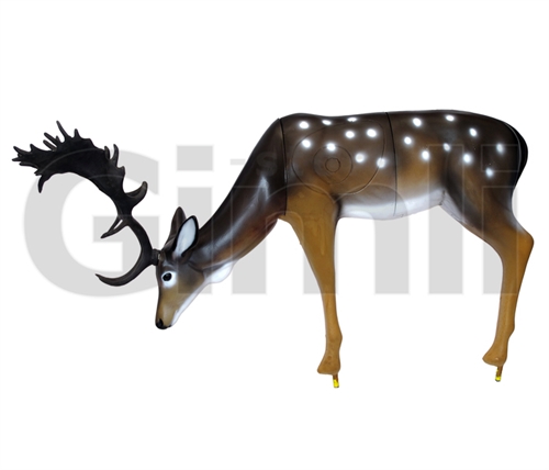 SRT Target 3D Fallow Deer Grazing